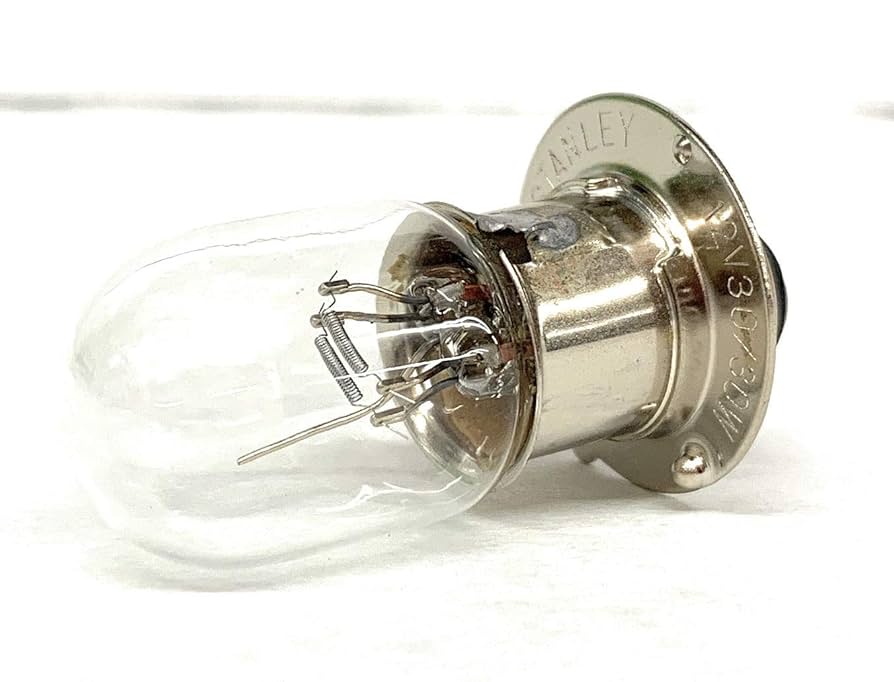 掛軸 310 Kawasaki Headlight wedge bulb 12V 5W 92069-1016 Mule KAF400